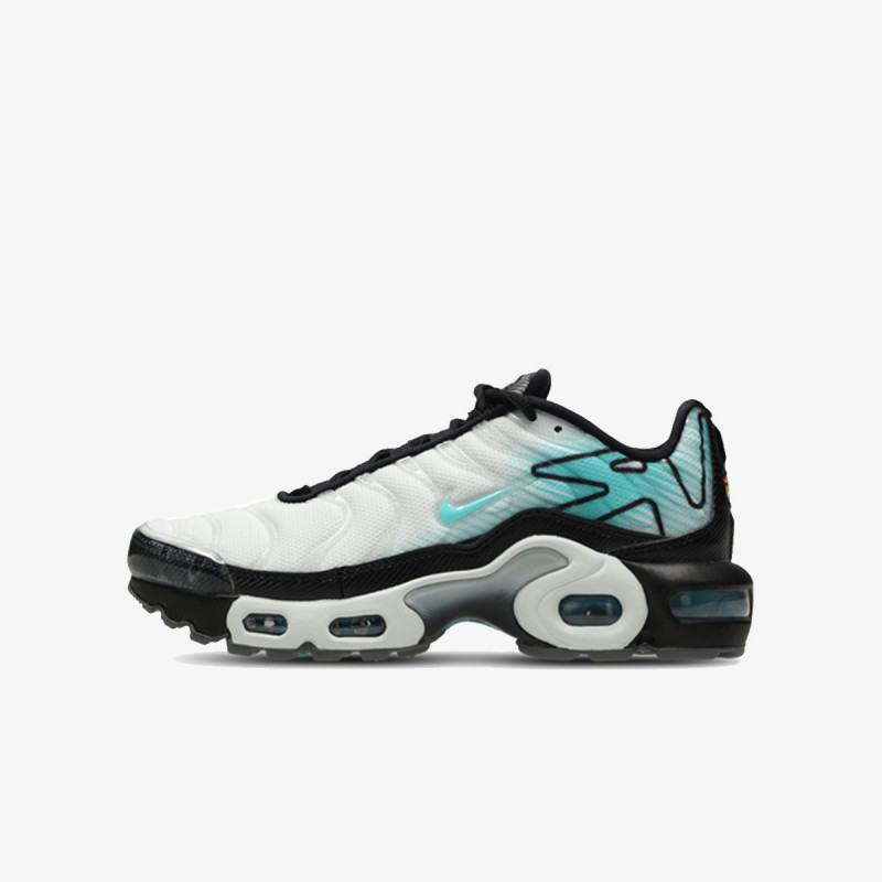 Nike Atlete NIKE AIR MAX PLUS GS MTD 